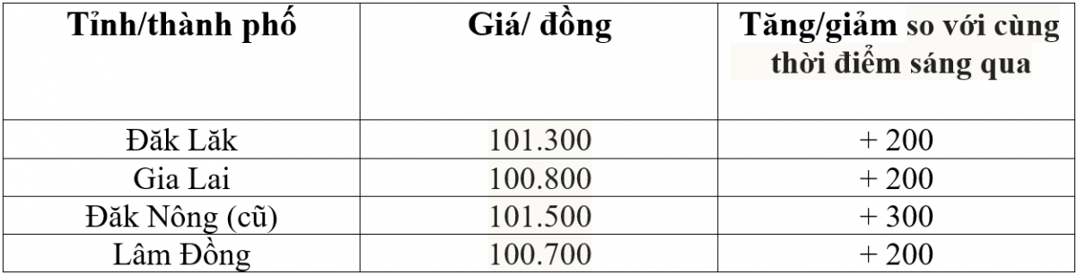 Bảng giá cà phê trong nước hôm nay 10/12/2025