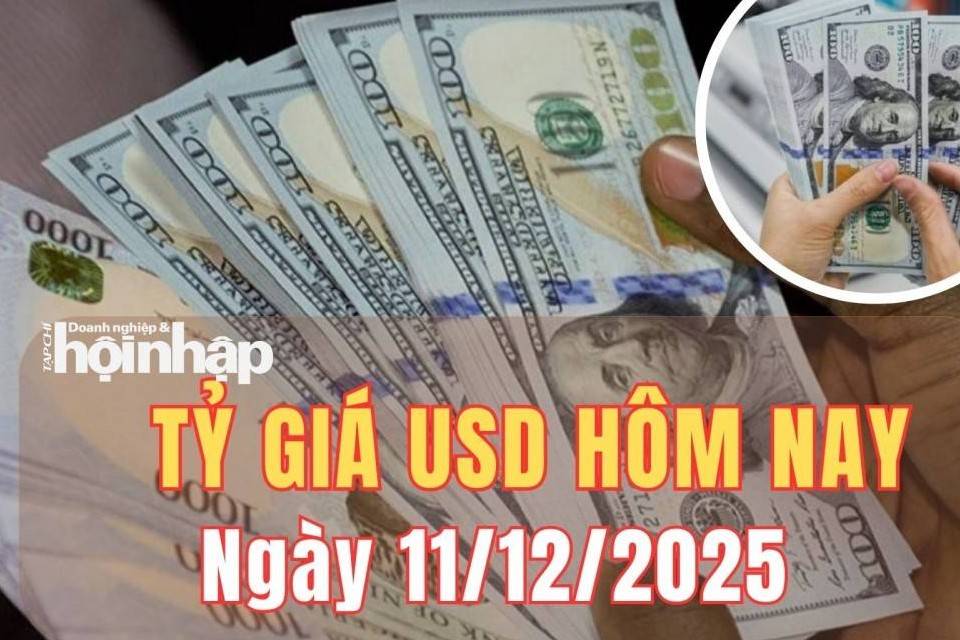 Tỷ giá USD hôm nay 11/12/2025: Đồng USD đảo chiều giảm mạnh