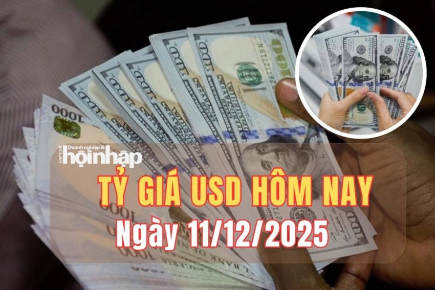 Tỷ giá USD hôm nay 11/12/2025: Đồng USD đảo chiều giảm mạnh
