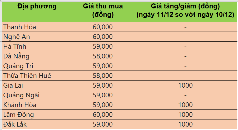 Bảng giá heo hơi tại miền Trung - Tây Nguyên hôm nay 11/12/2025