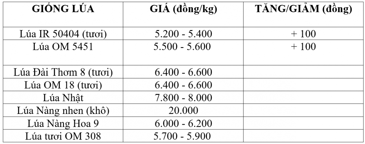 Bảng giá lúa hôm nay 11/12/2025