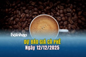 Dự báo giá cà phê 12/12: Cà phê trong nước và thế giới đồng loạt tăng mạnh