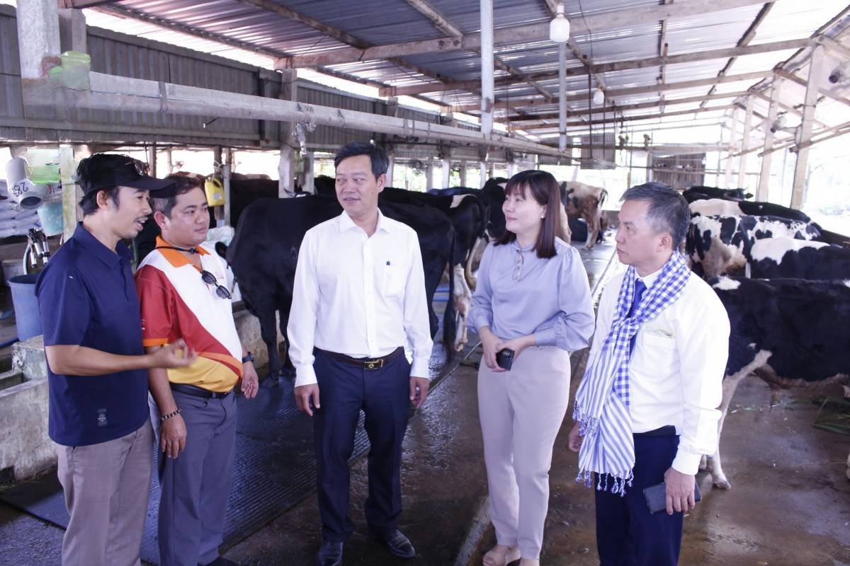 Bình Mỹ (TP.Hồ Chí Minh) xây dựng thương hiệu địa phương bằng du lịch cộng đồng sông nước