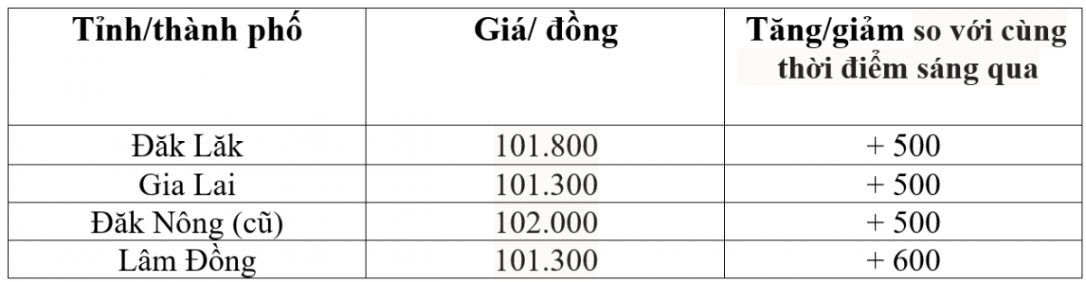 Bảng giá cà phê trong nước hôm nay 12/12/2025