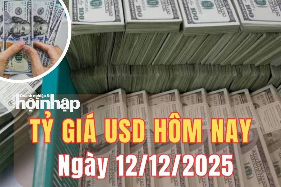 Tỷ giá USD hôm nay 12/12/2025: Đồng USD suy yếu trên cả thị trường trong nước và quốc tế