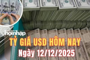 Tỷ giá USD hôm nay 12/12/2025: Đồng USD suy yếu trên cả thị trường trong nước và quốc tế