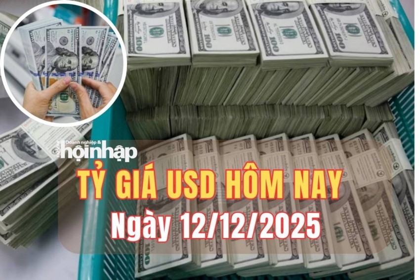 Tỷ giá USD hôm nay 12/12/2025: Đồng USD suy yếu trên cả thị trường trong nước và quốc tế