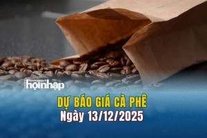 Dự báo giá cà phê 13/12: Cà phê trong nước "lao dốc"