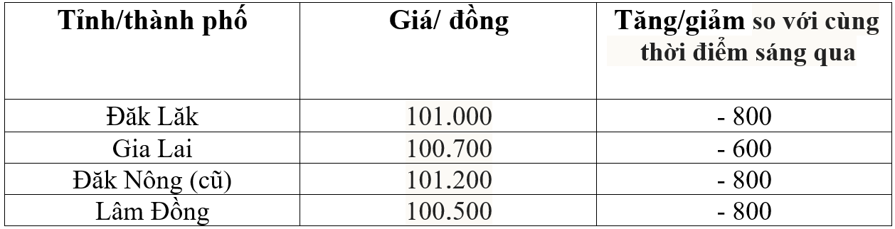 Bảng giá cà phê trong nước hôm nay 13/12/2025