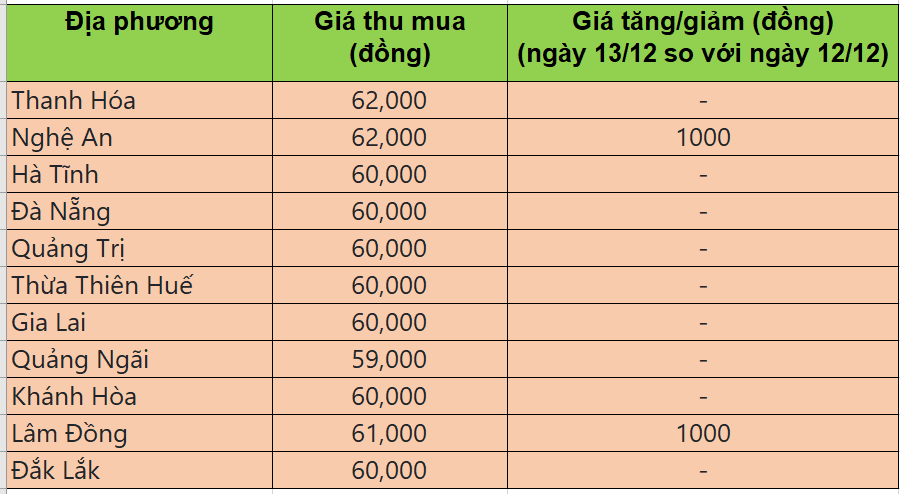 Bảng giá heo hơi tại miền Trung - Tây Nguyên hôm nay 13/12/2025