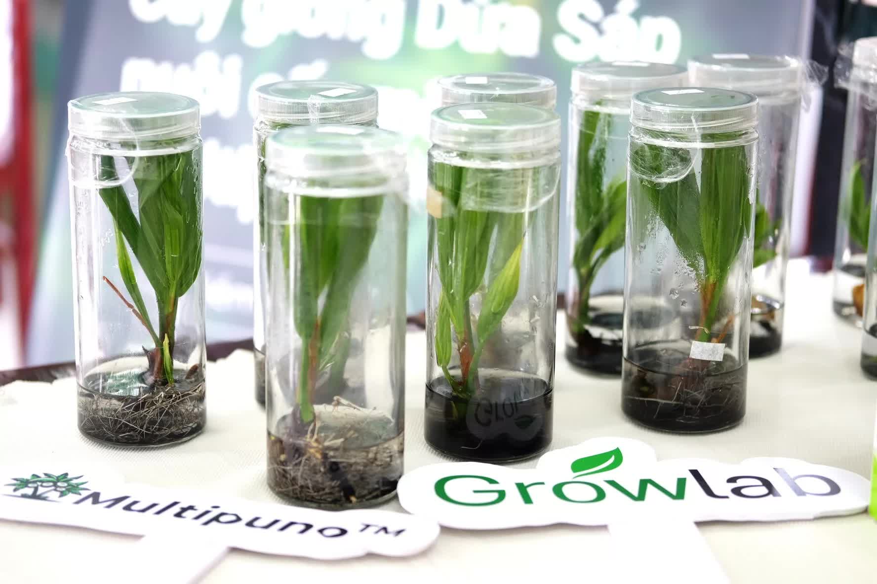 Growlab đăng quang Quán quân Tài năng khởi nghiệp Việt Nam 2025, mở ra kỳ vọng tái sinh ngành dừa