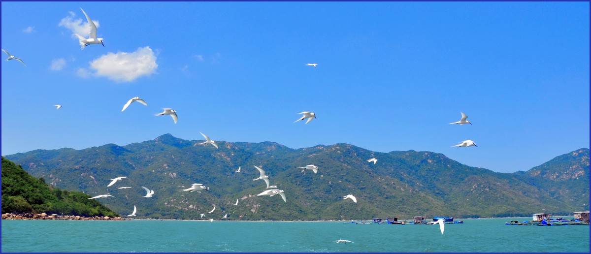 Khánh Hòa ngôi sao đang lên của du lịch Việt Nam, Top điểm đến được tìm kiếm nhiều nhất thế giới