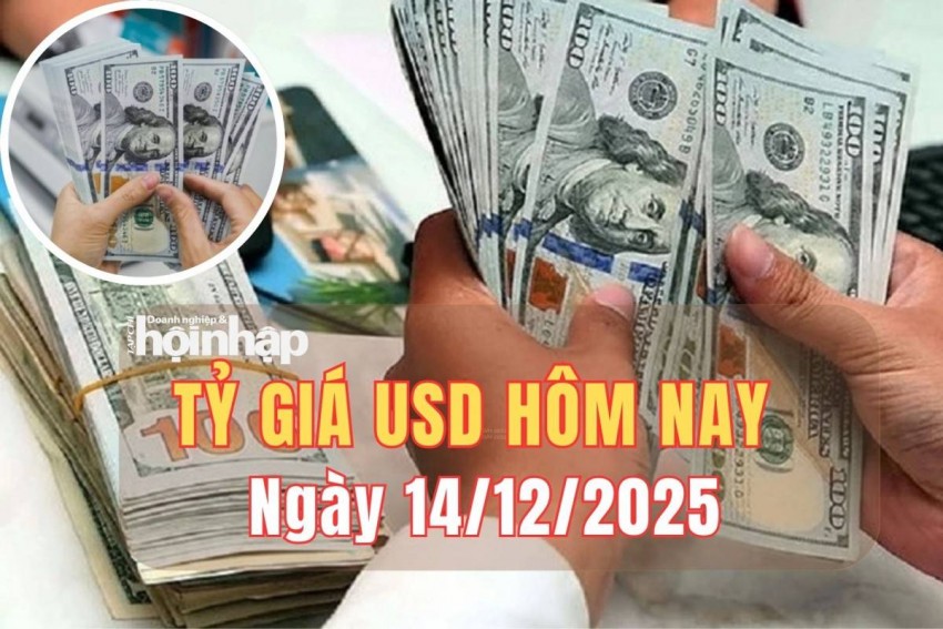 Tỷ giá USD hôm nay 14/12/2025: Đồng USD suy yếu trong tuần qua
