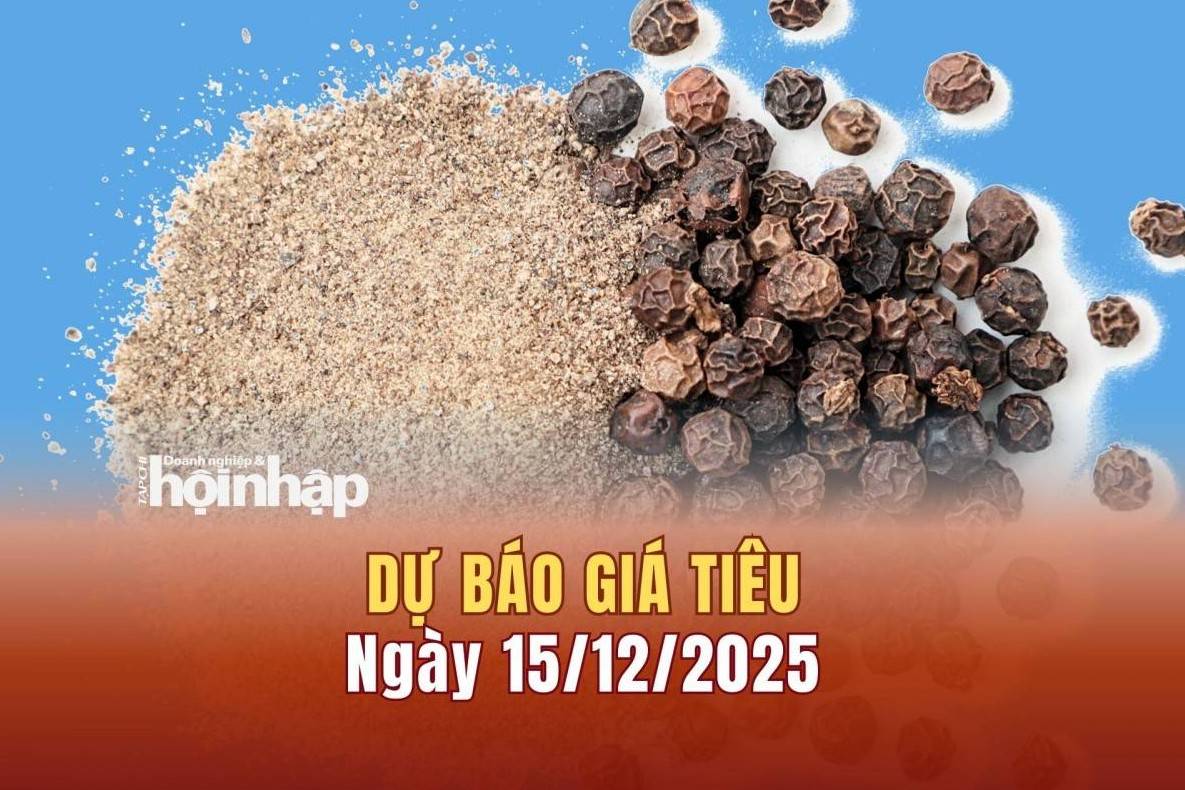 Dự báo giá tiêu 15/12: Giá tiêu trong nước có xu hướng giảm