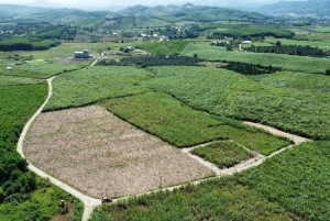 Giảm mạnh tiền chuyển đất nông nghiệp sang đất ở từ năm 2026