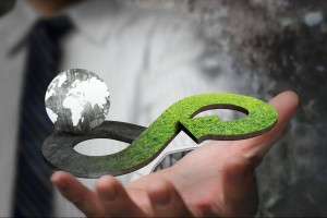 Chuyển đổi kép: Áp lực và cơ hội cho doanh nghiệp SME