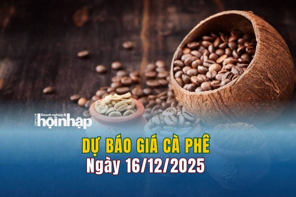 Dự báo giá cà phê 16/12: Cà phê trong nước và thế giới đồng loạt "lao dốc"