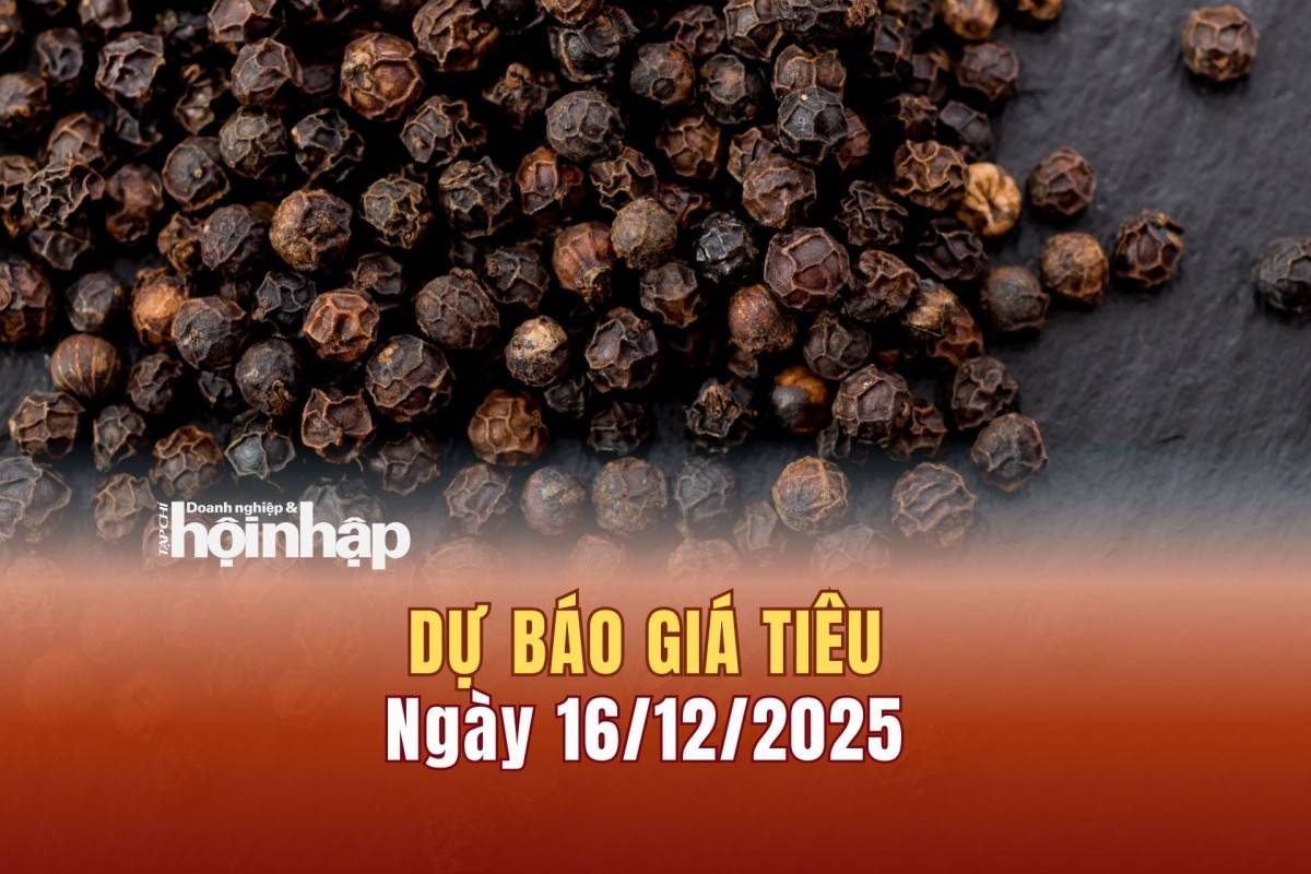 Dự báo giá tiêu 15/12: Giá tiêu trong nước có xu hướng giảm