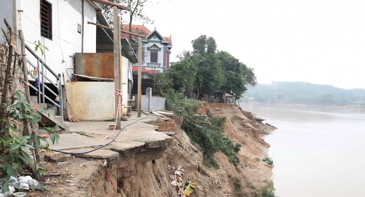 Phú Thọ: Xử lý khẩn cấp sạt lở bờ sông Lô tại xã Dân Chủ