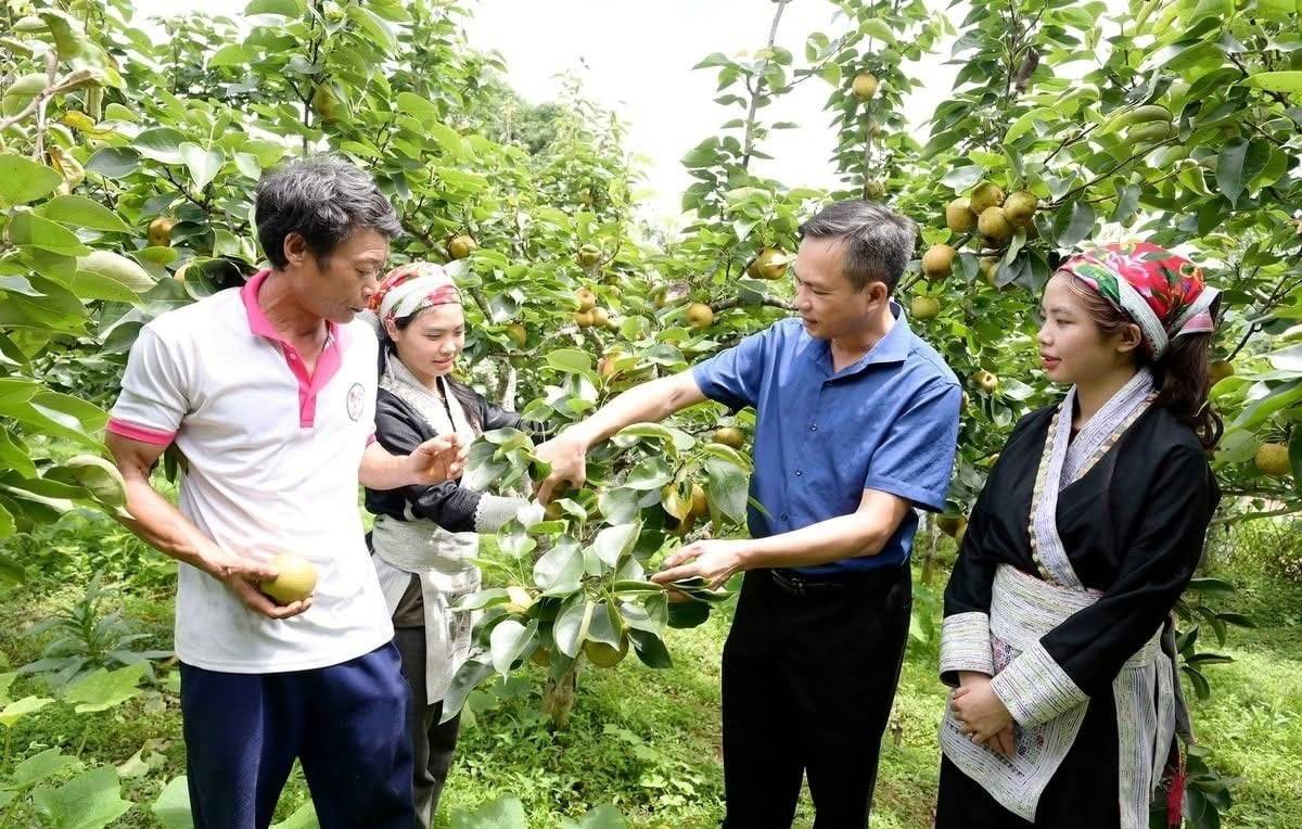 Mường Hum và bài toán phát triển bền vững vùng dân tộc thiểu số Lào Cai