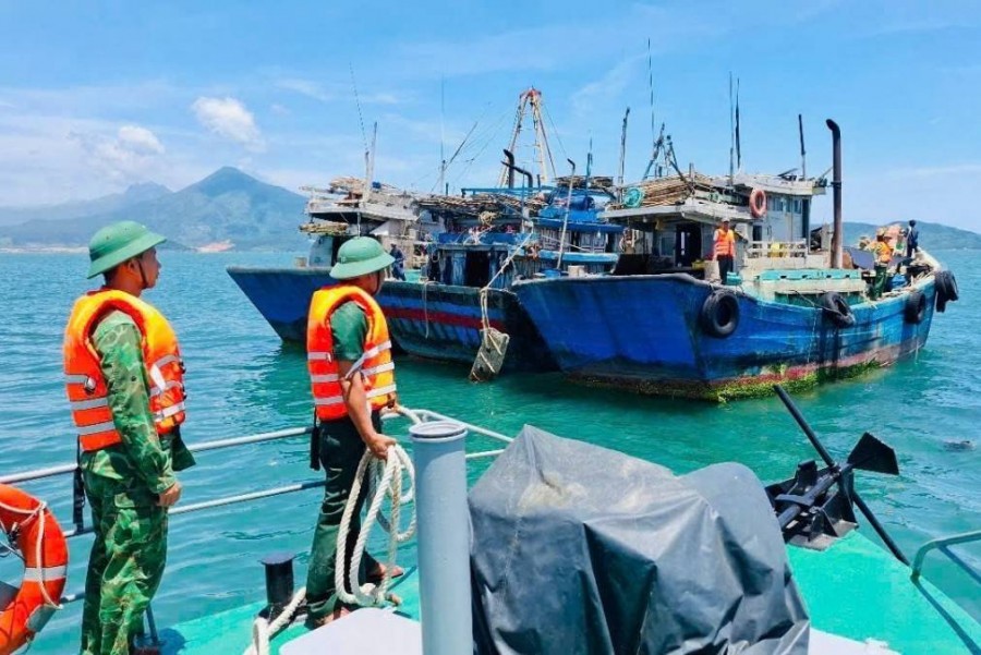 VASEP thúc giục doanh nghiệp thủy sản tăng tuân thủ để sớm gỡ thẻ vàng IUU