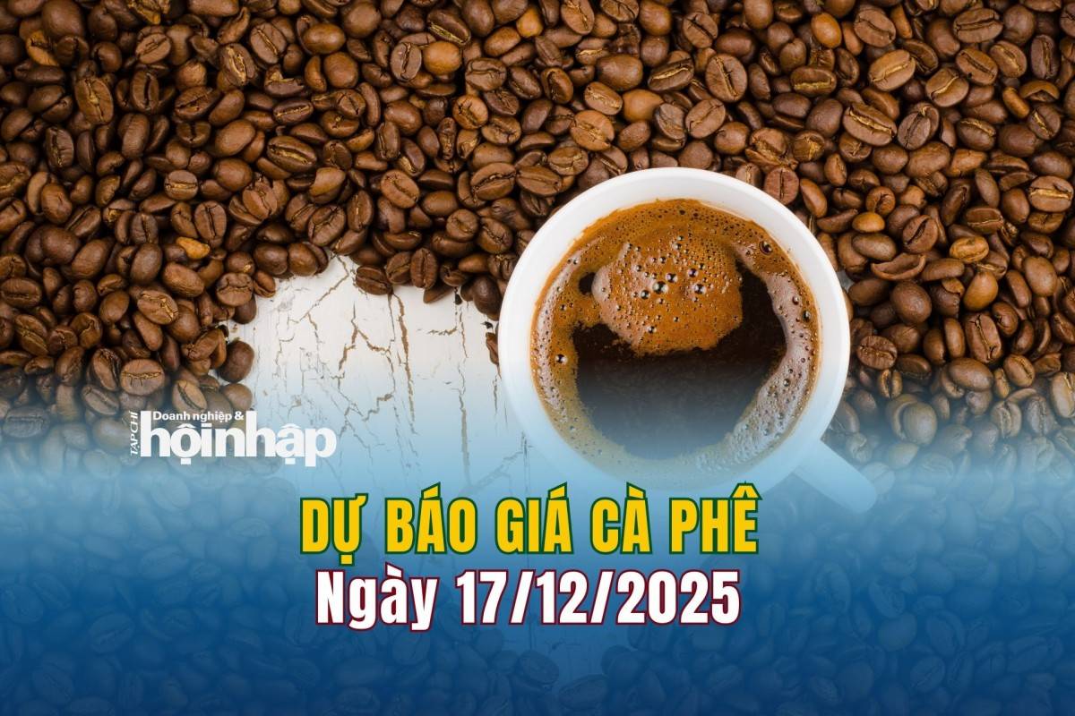 Dự báo giá cà phê 17/12: Cà phê trong nước và thế giới đồng loạt lao dốc
