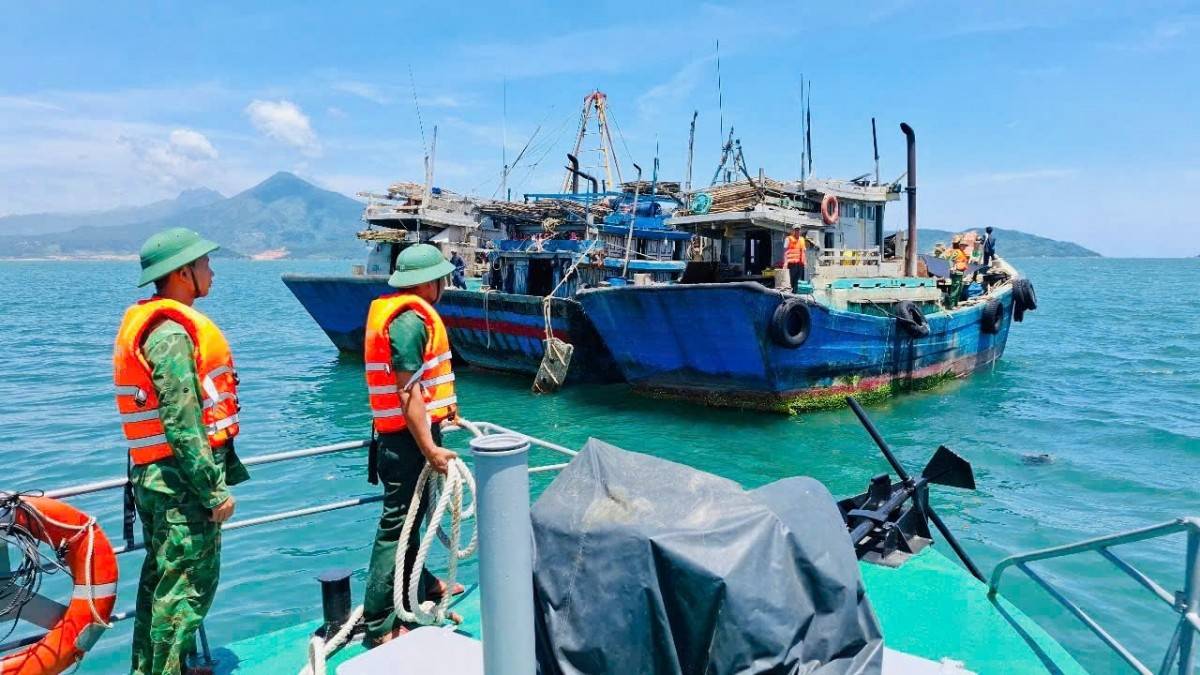 VASEP thúc giục doanh nghiệp thủy sản tăng tuân thủ để sớm gỡ thẻ vàng IUU