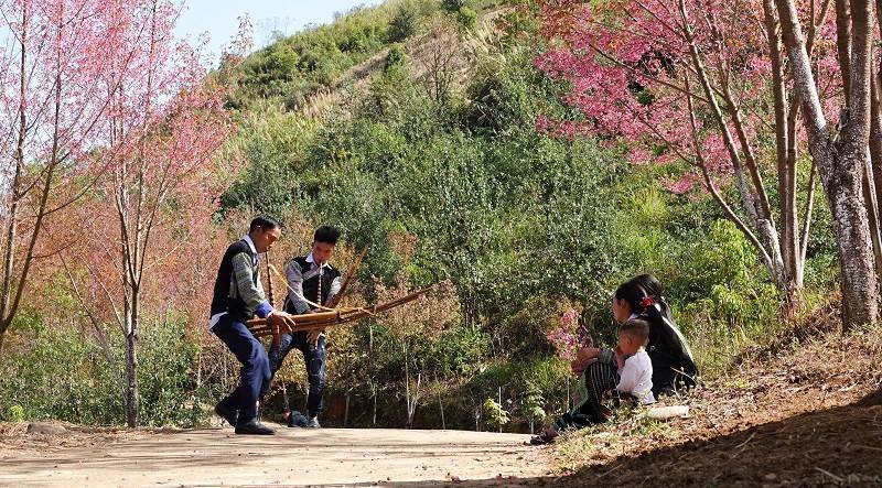 Phát huy giá trị hoa Tớ Dày và lễ hội truyền thống trong phát triển du lịch Mù Cang Chải