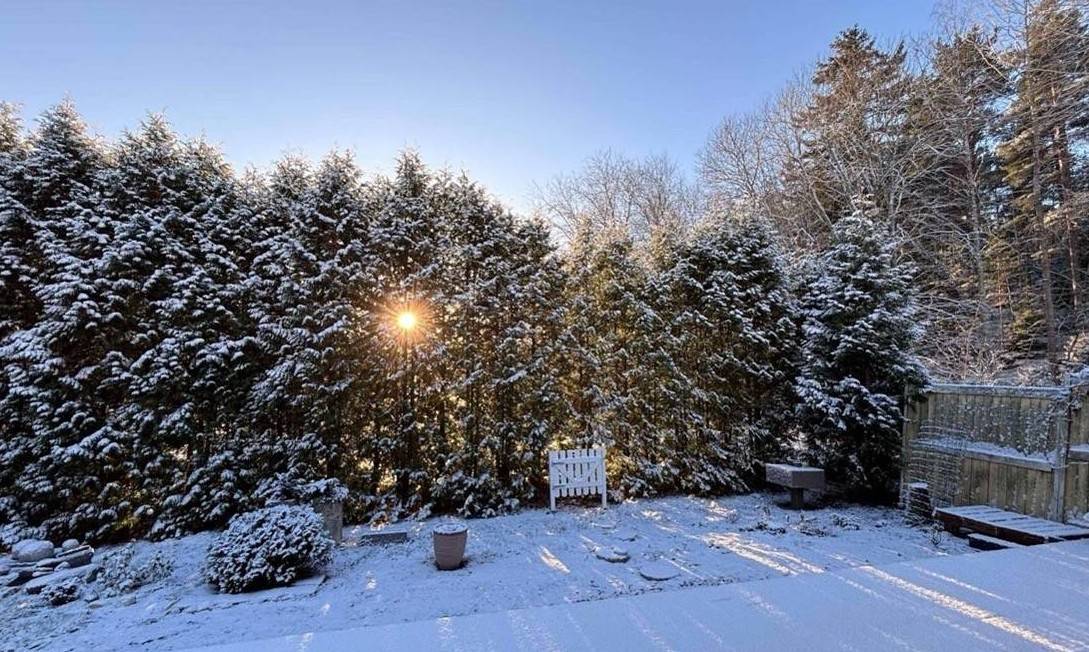 Kiến tạo tương lai tại quốc gia hạnh phúc nhất thế giới