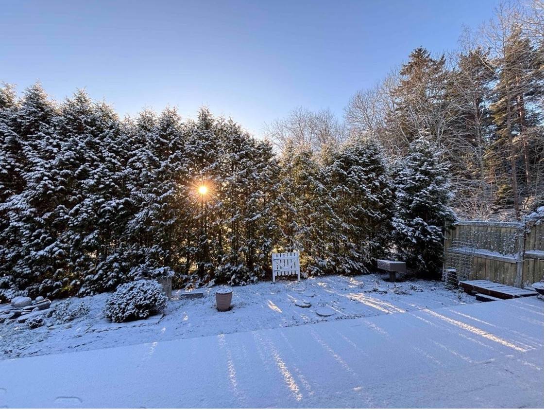 Kiến tạo tương lai tại quốc gia hạnh phúc nhất thế giới