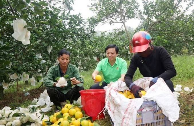 Hà Tĩnh: Lan tỏa đổi mới sáng tạo, nông dân vươn lên làm chủ nông nghiệp