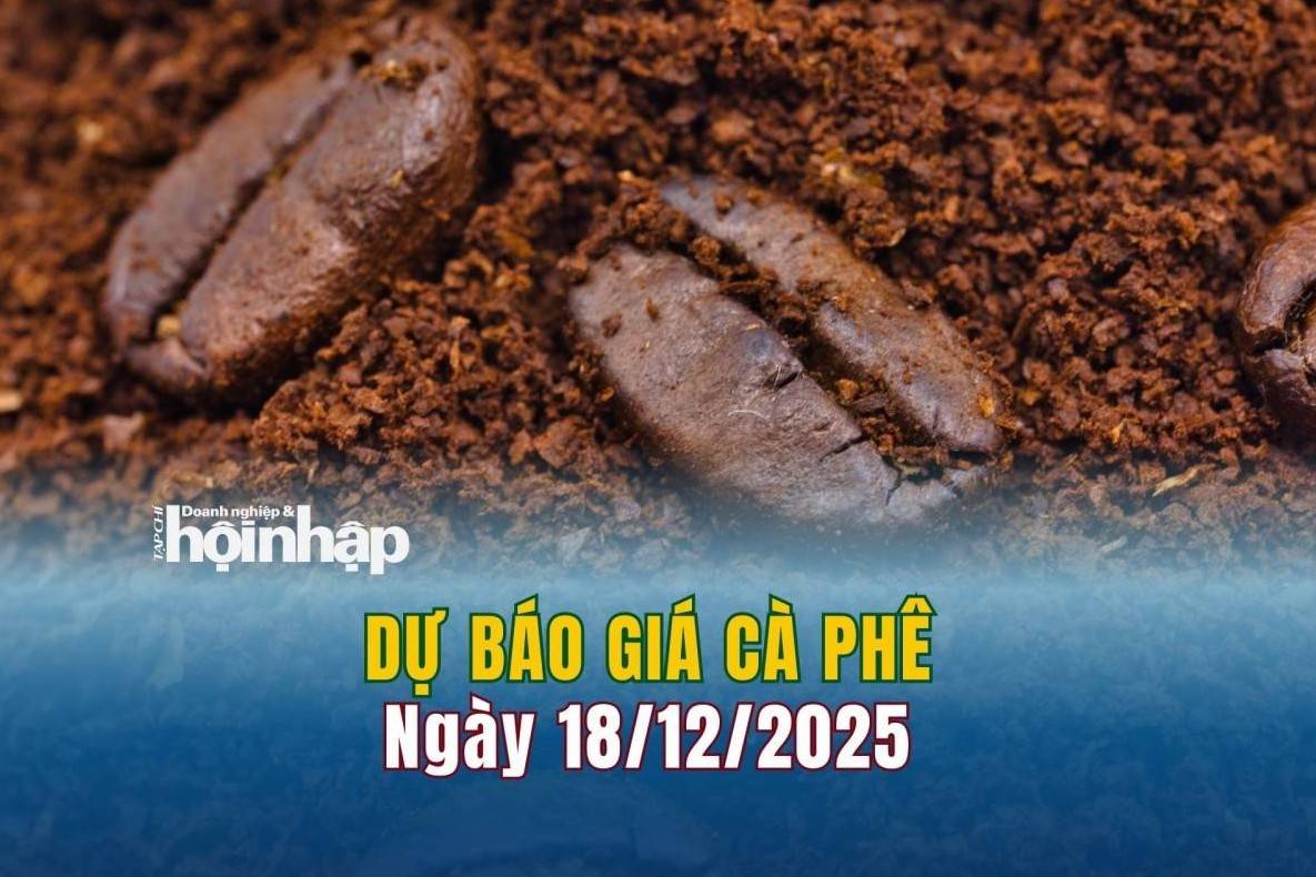 Dự báo giá cà phê 18/12: Cà phê trong nước đồng loạt giảm mạnh