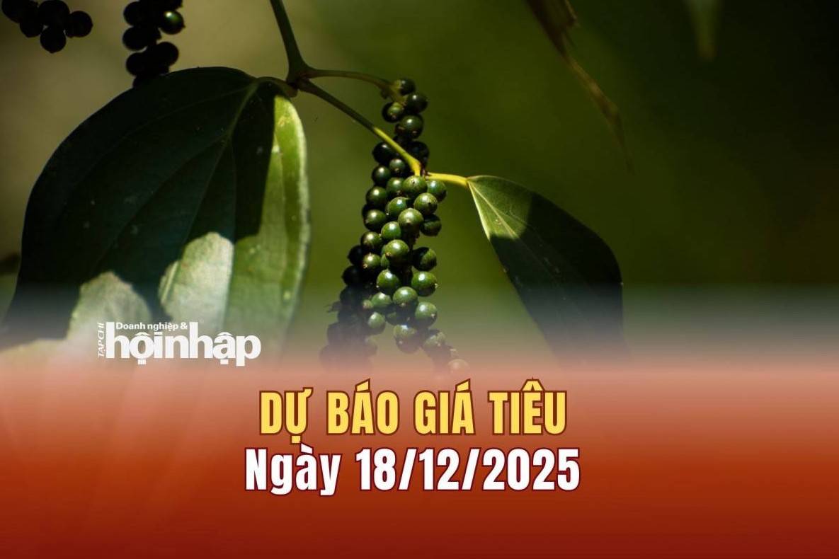 Dự báo giá tiêu 18/12: Giá tiêu trong nước tiếp tục tăng cao