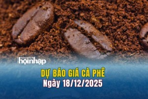Dự báo giá cà phê 18/12: Cà phê trong nước đồng loạt giảm mạnh