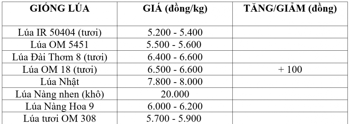Bảng giá lúa hôm nay 18/12/2025