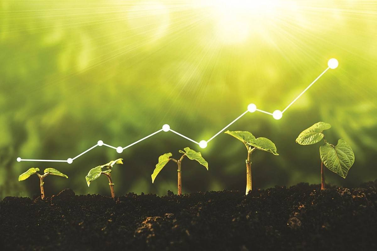 Hỗ trợ doanh nghiệp nhỏ đổi mới công nghệ sạch: Thu hẹp khoảng cách từ chính sách đến thực tiễn