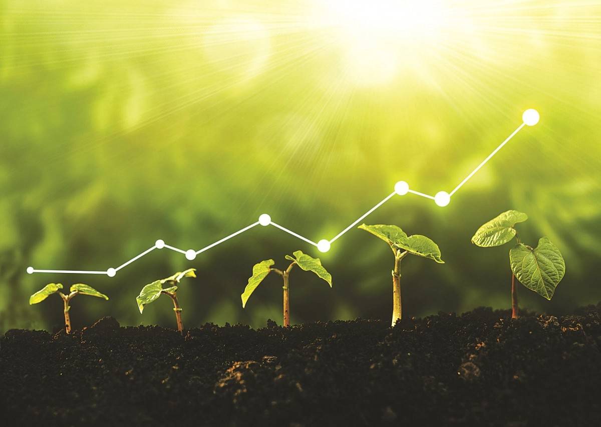 Hỗ trợ doanh nghiệp nhỏ đổi mới công nghệ sạch: Thu hẹp khoảng cách từ chính sách đến thực tiễn