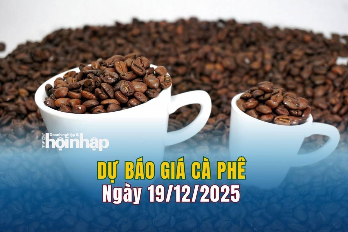 Dự báo giá cà phê 19/12: Cà phê trong nước lao dốc không phanh
