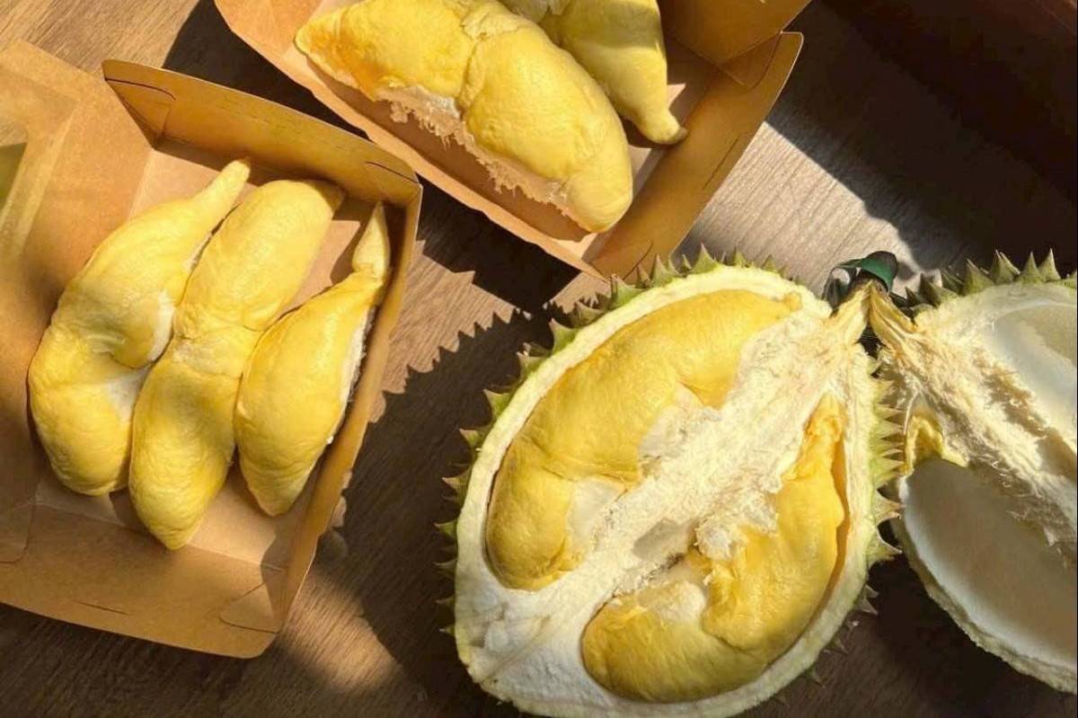 Thí điểm truy xuất nguồn gốc sầu riêng: Siết chất lượng, minh bạch chuỗi cung ứng xuất khẩu