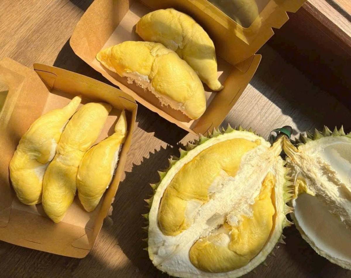 Thí điểm truy xuất nguồn gốc sầu riêng: Siết chất lượng, minh bạch chuỗi cung ứng xuất khẩu