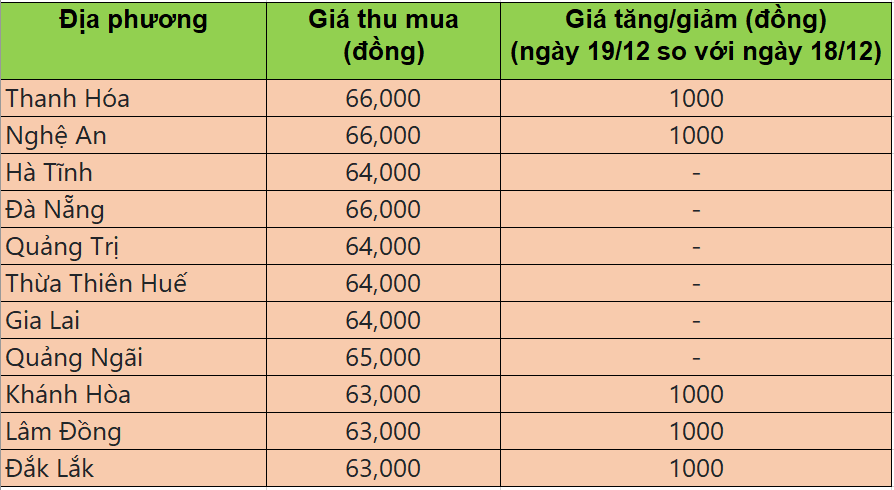 Bảng giá heo hơi tại miền Trung - Tây Nguyên hôm nay 19/12/2025