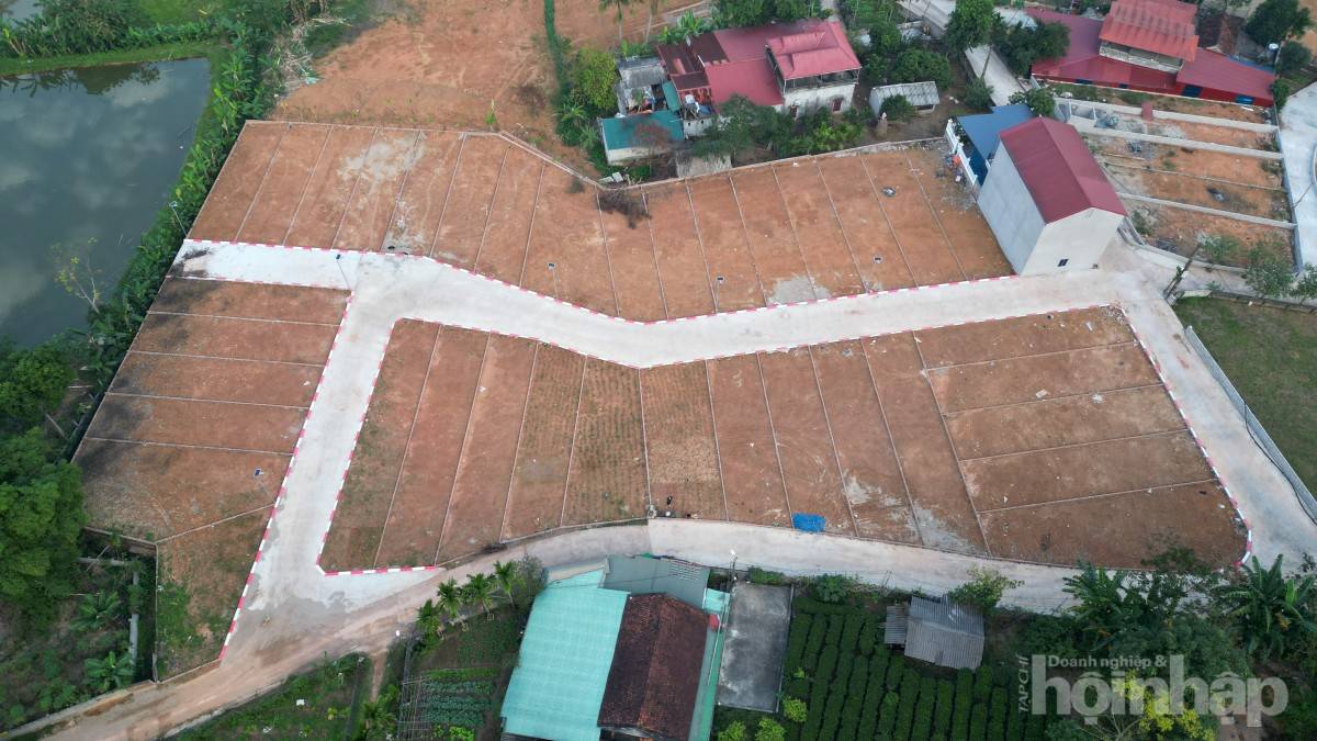 Phú Thọ: Kiểm tra xử lý vi phạm, chấn chỉnh tình trạng tách thửa “núp bóng” bán nền Phú Thọ: Kiểm tra xử lý vi phạm, chấn chỉnh tình trạng tách thửa “núp bóng” bán nền