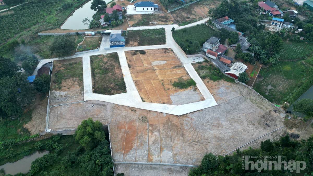 Phú Thọ: Kiểm tra xử lý vi phạm, chấn chỉnh tình trạng tách thửa “núp bóng” bán nền Phú Thọ: Kiểm tra xử lý vi phạm, chấn chỉnh tình trạng tách thửa “núp bóng” bán nền