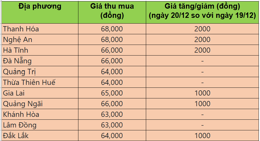 Bảng giá heo hơi tại miền Trung - Tây Nguyên hôm nay 20/12/2025