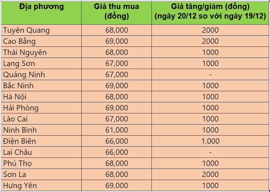 Bảng giá heo hơi tại miền Bắc hôm nay 20/12/2025