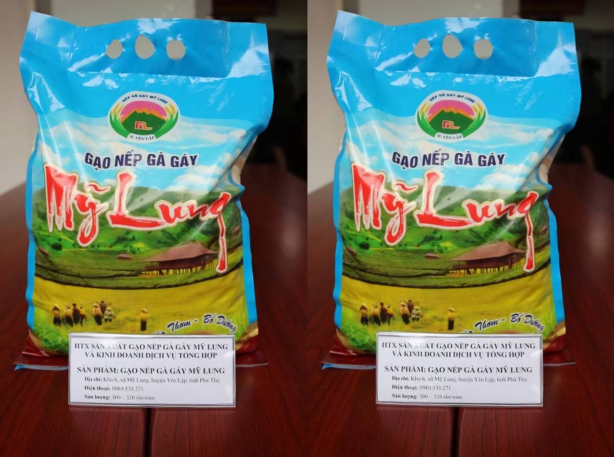 Phú Thọ cấp chứng nhận OCOP cho 64 sản phẩm đợt 1 năm 2025