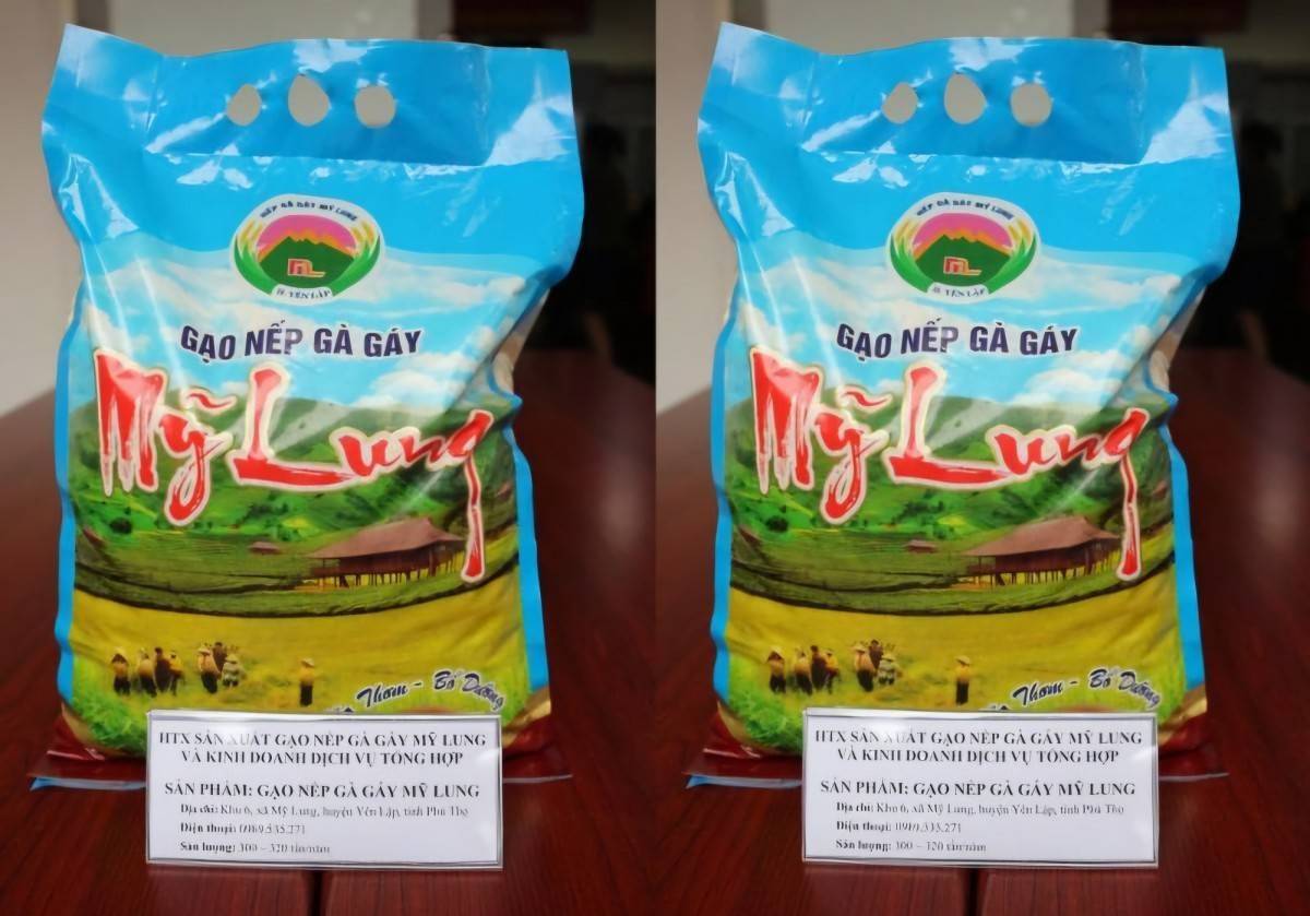 Phú Thọ cấp chứng nhận OCOP cho 64 sản phẩm đợt 1 năm 2025