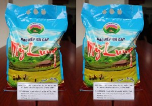 Phú Thọ cấp chứng nhận OCOP cho 64 sản phẩm đợt 1 năm 2025