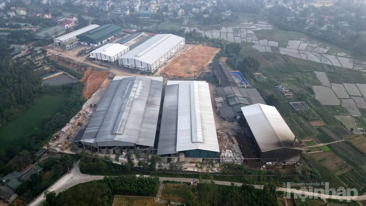 Phú Thọ yêu cầu làm rõ phản ánh HTX Giấy Phù Ninh xả thải khi chưa có giấy phép môi trường