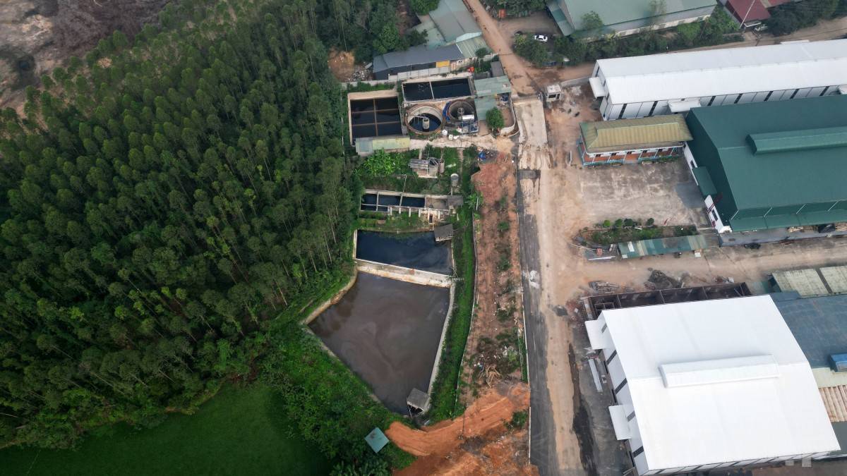 Phú Thọ yêu cầu làm rõ phản ánh HTX Giấy Phù Ninh xả thải khi chưa có giấy phép môi trường